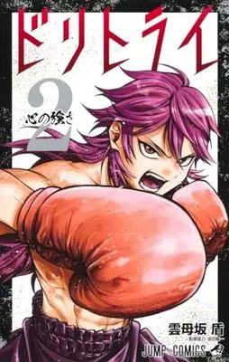 Manga Do Retry vol.2 (ドリトライ 2 (ジャンプコミックス))  / Kirarazaka Jun