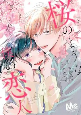 Manga Sakura no You na Boku no Koibito vol.2 (桜のような僕の恋人 2 (マーガレットコミックス))  / Katou Shushu