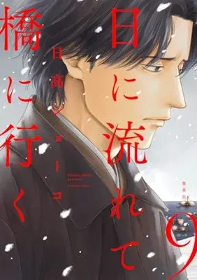 Manga Hi ni Nagarete Hashi ni Iku vol.9 (日に流れて橋に行く 9 (愛蔵版コミックス))  / Hidaka Shoko