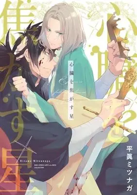 Manga Shinzou wo Kogasu Hoshi (心臓を焦がす星 (バーズコミックス ラブキスボーイズコレクション))  / Hirama Mitsunaga