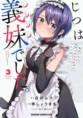 Manga Jitsu wa Imouto Deshita. vol.3 (じつは義妹でした。~最近できた義理の弟の距離感がやたら近いわけ~ 3 (ドラゴンコミックスエイジ))  / Sakai Shokichi