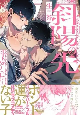 Manga Shayou no Saki (斜陽の先 (G-Lish Comics))  / Namagomi