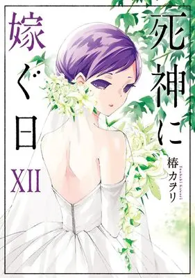 Manga Shinigami ni Totsugu Hi (死神に嫁ぐ日XII (シルフコミックス))  / Tsubaki Kawori