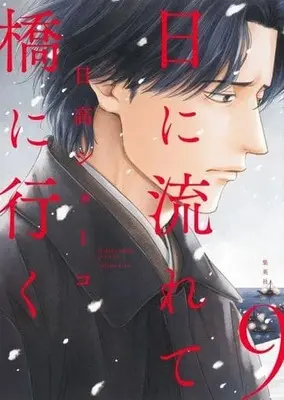 Manga Hi ni Nagarete Hashi ni Iku vol.9 (日に流れて橋に行く(9))  / Hidaka Shoko