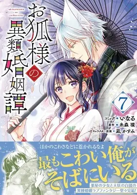 Manga Okitsune-sama no Irui Konintan vol.7 (お狐様の異類婚姻譚 7巻 (7) (ZERO-SUMコミックス))  / Inaru
