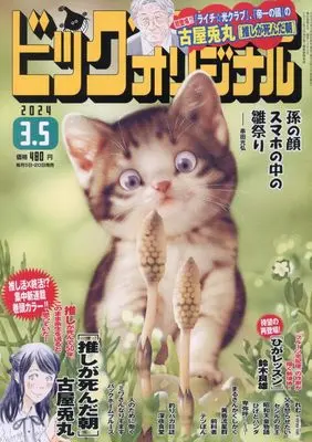 Magazine Big Comic Original (ビッグ オリジナル 2024年 3/5 号 [雑誌]) 