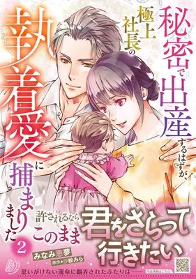 Manga Himitsu de Shussan suru hazu ga, Gokujou Shachou no Shuuchaku Ai ni Tsukamarimashita vol.2 (秘密で出産するはずが、極上社長の執着愛に捕まりました2 (マーマレードコミックス, CMMBL98))  / Minami Megumu