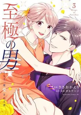 Manga Shigoku no Otoko - Mou Ichido Aisareru Yoru vol.3 (至極の男~もう一度愛される夜(3) (BE LOVE KC))  / ささ おかえり