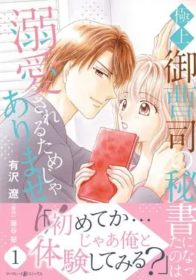 Manga Datsu!? Dekiama Office Love - Wild Onzoushi no Hard na Kyuuai vol.105 (脱!? 溺甘オフィスラブ~ワイルド御曹司のハードな求愛~ 1 (マーマレードコミックス, CMMBL105))  / Arisawa Ryou