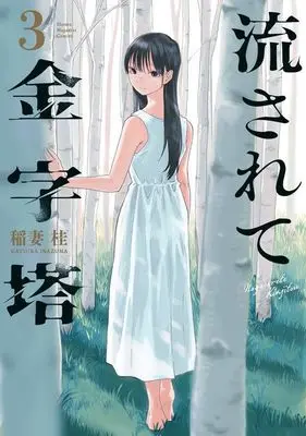 Manga Nagasarete Kinjitou vol.3 (流されて金字塔(3) (KCデラックス))  / Inazuma Katsura