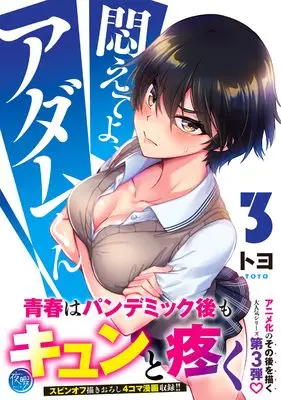 Manga Modaete yo, Adam-kun (Adam's Sweet Agony) vol.3 (悶えてよ、アダムくん3 (ナイトマ))  / Toyo