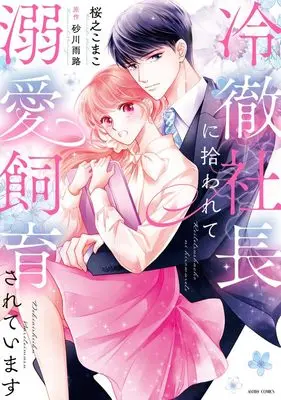 Manga Reitetsu Shachou ni Hirowarete Dekiai Shiikusareteimasu (冷徹社長に拾われて溺愛飼育されています (ASTRO COMICS)) 