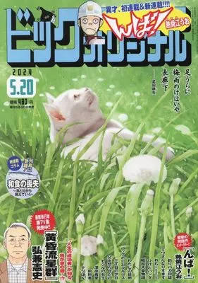 Magazine Big Comic Original (ビッグ オリジナル 2024年 5/20 号 [雑誌]) 