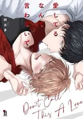 Manga Aishiteru nante Iwanaide (サイン付)愛してるなんて言わないで)  / Akota