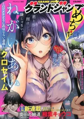 Magazine GRAND JUMP Mecha (グランドジャンプめちゃ 2024年6月号) 