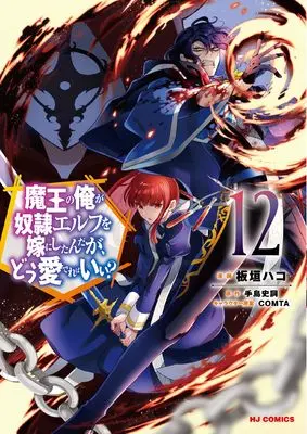 Manga Maou no Ore ga Dorei Elf wo Yome ni Shitanda ga, Dou Medereba Ii? vol.12 (魔王の俺が奴隷エルフを嫁にしたんだが、どう愛でればいい？ ⑫)  / Itagaki Hako & Teshima Fuminori