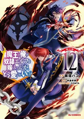 Special Edition Manga with Bonus Maou no Ore ga Dorei Elf wo Yome ni Shitanda ga, Dou Medereba Ii? vol.12 (魔王の俺が奴隷エルフを嫁にしたんだが、どう愛でればいい？ ⑫ 限定版)  / Itagaki Hako & Teshima Fuminori