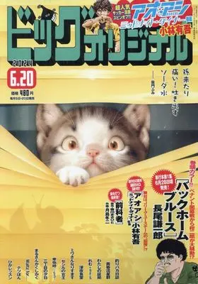 Magazine Big Comic Original (ビッグ オリジナル 2024年 6/20 号 [雑誌]) 
