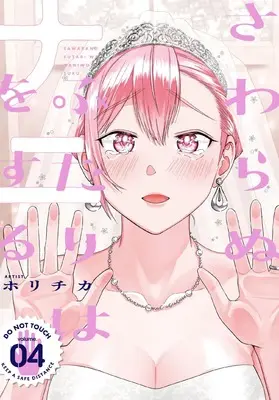 Manga Sawaranu Futari wa nani wo Suru vol.4 (さわらぬふたりはナニをする(4)(完) (ヤングガンガンコミックス))  / Horichika