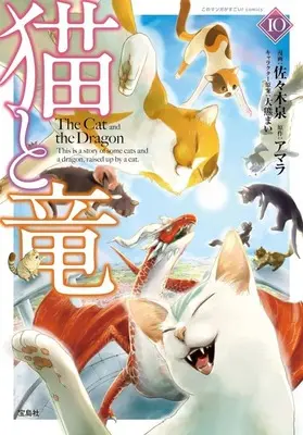 Manga Neko to Ryuu vol.10 (猫と竜(10))  / Sasaki Izumi