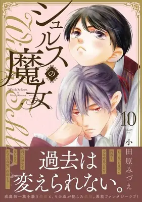 Manga Shurusu no Majo vol.10 (シュルスの魔女 (10) (ニチブンコミックス))  / Odawara Mizue