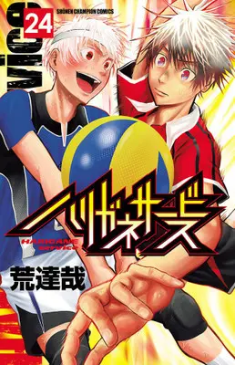 Manga Complete Set Harigane Service (Vol.1-24) (ハリガネサービス)  / Ara Tatsuya