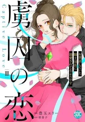 Manga Ryoshuu no Koi vol.3 (虜囚の恋(3))  / Toyotama Erie