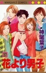 Manga Complete Set Boys Over Flowers (Hana yori Dango) (Vol.1-37) (花より男子[新書版])  / Kamio Youko & 神尾 葉子