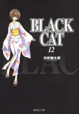 Manga Complete Set Black Cat (Vol.1-12) (ブラックキャット BLACK CAT [文庫版])  / Yabuki Kentaro