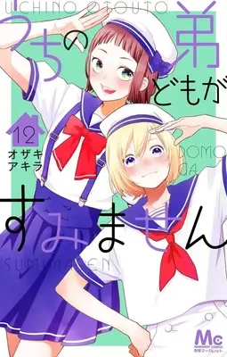 Manga Uchi no Otouto-domo ga Sumimasen vol.12 (うちの弟どもがすみません 12 (マーガレットコミックス))  / Ozaki Akira
