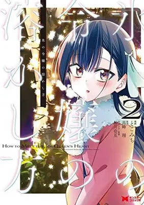 Manga Set Koori no Reijou no Tokashi Kata (Vol.1-2) (氷の令嬢の溶かし方)  / Tokomichi