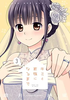 Manga Complete Set Kimi to Kazoku ni Naru made (Vol.1-3) (キミと家族になるまで)  / Shimotsuki Kinusa