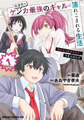 Special Edition Manga with Bonus Houkago wa Kenka Saikyou no Gal ni Tsurekomareru Seikatsu: Kanojotachi ni Sukarete, Boku mo Saikyou ni!? vol.1 (放課後はケンカ最強のギャルに連れこまれる生活 彼女たちに好かれて、僕も最強に!? 1『アクリルカード付きメロンブックス限定版』)  / Aoyagi Takao & kakao & 亜逸