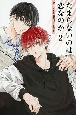 Manga appendix Tamaranai no wa Koi na no ka vol.2 (【小冊子】たまらないのは恋なのか(2)  アニメイト限定セット特典小冊子)  / Sorahana Mia