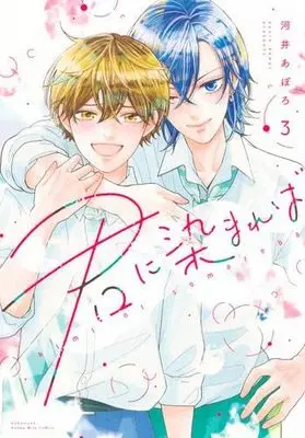 Manga Set Kimi ni Somareba (3) (君に染まれば　コミック　全3巻セット (講談社))  / Kawai Apolo