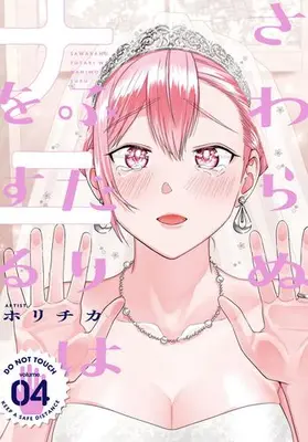 Manga Set Sawaranu Futari wa nani wo Suru (Vol.1-4) (さわらぬふたりはナニをする)  / ホリチカ