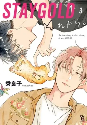Manga Stay Gold Sorekara. vol.3 (STAYGOLD それから。3)  / Hideyoshico