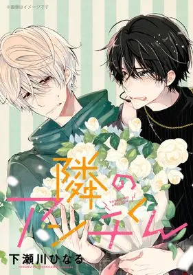 Manga Tonari no Anti-kun vol.2 (隣のアンチくん 2 (ジーンピクシブシリーズ))  / Shimosegawa Hinaru