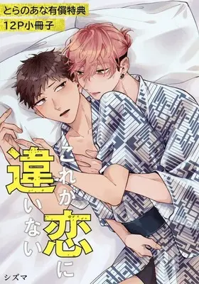 Manga appendix Kore ga Koi ni Chigainai (【小冊子】これが恋に違いない とらのあな限定有償特典小冊子)  / Shizuma