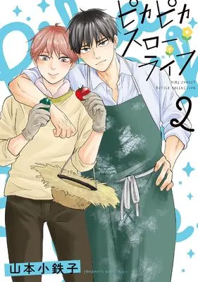 Manga Pika Pika Slow Life vol.2 (ピカピカスローライフ (2) (バーズコミックス ルチルコレクション))  / Yamamoto Kotetsuko