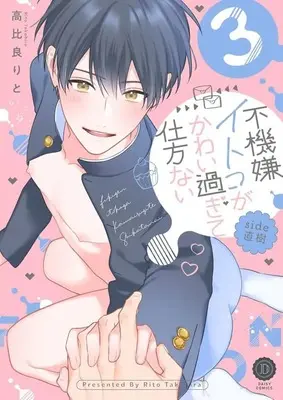 Manga Set Fukigen Itoko ga Kawaisugite Shikatanai (4) (■未完セット)不機嫌イトコがかわい過ぎて仕方ない 1～4巻)  / Takahira Rito