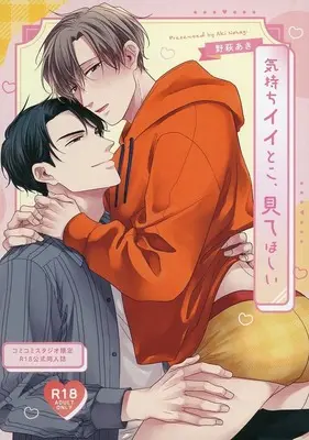 Manga appendix Kimochi Ii Toko, Mite Hoshii (【小冊子】気持ちイイとこ、見てほしい コミコミスタジオ限定R18公式同人誌)  / Nohagi Aki