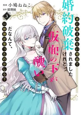 Manga Mi ni Oboe no nai Riyuu de Konyaku Hakisaremashita Keredo, Kamen no shita ga Minikui da Nante, Ittai Dare ga Itta no Kashira? vol.3 (身に覚えのない理由で婚約破棄されましたけれど、仮面の下が醜いだなんて、一体誰が言ったのかしら? 3 (集英社ガールズコミックス))  / Kobato Neneko