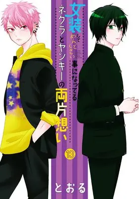 Manga Josou shite Mendokusai Koto ni Natteru Nekura to Yankee no Ryou Kataomoi vol.13 (女装してめんどくさい事になってるネクラとヤンキーの両片想い (13) (BLADEコミックス pixivシリーズ))  / Tooru (Ii)
