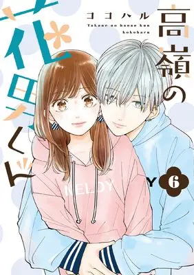 Manga Takane no Hanao-kun vol.6 (高嶺の花男くん6 (Colorful! コミックス))  / Kokoharu