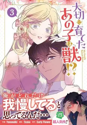 Manga My Gently Raised Beast vol.3 (大切に育てたあの子は獣!?(3) (3) (カラフルハピネス))  / Teava & Yeoseulki