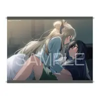 Requested item with bonus (melonbooks)