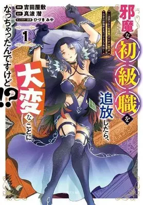 Manga Jama na Shokyuu-Shoku wo Tsuihou Shitara, Taihen na Koto ni Nacchattan desu kedo!? vol.1 (邪魔な初級職を追放したら、大変なことになっちゃったんですけど!?(1) ~追放された初級職【アイテム師】が自分の居場所を見つけるまで外伝~ (シリウスKC))  / 吉田 屋敷 & ひづき みや