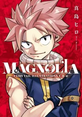Manga Fairy Tail vol.2 (MAGNOLIA-FAIRY TAIL ILLUSTRATIONS 1+2+α-)  / Mashima Hiro