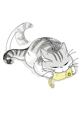 Novel Nights with a Cat vol.7 (夜は猫といっしょ 7)  / kyuryuZ